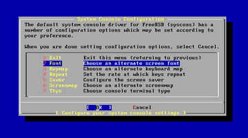 FreeBSD System Console Configuration